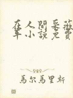 在人间采薇陆三平小说免费阅读