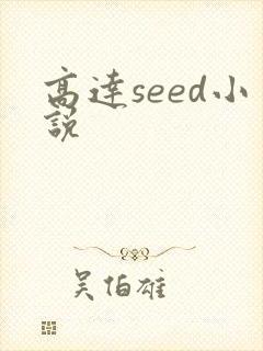 高达seed小说