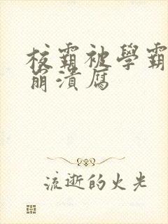 校霸被学霸玩到崩溃腐