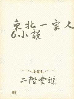 东北一家人1一6小说