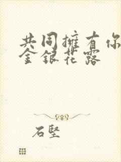 共同拥有你by金银花露