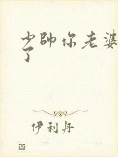 少帅你老婆又跑了