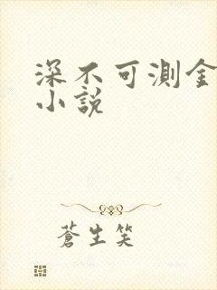 深不可测金银花小说