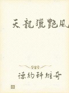 天龙猎艳风流