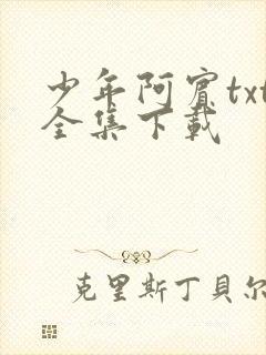 少年阿宾txt全集下载