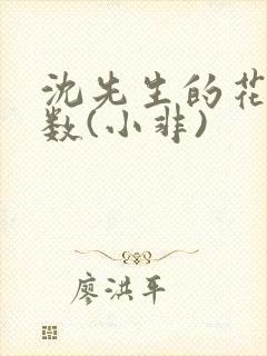 沈先生的花式调数(小非)