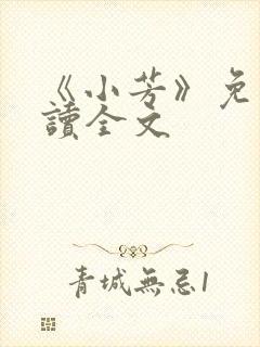 《小芳》免费阅读全文