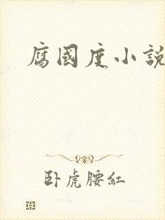 腐国度小说