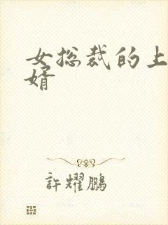 女总裁的上门女婿