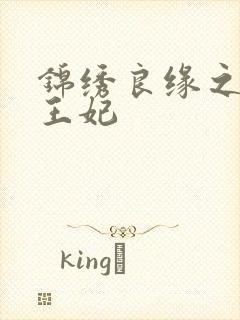 锦绣良缘之北地王妃封面