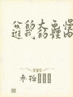 公的大龟慢慢挺进我的体内