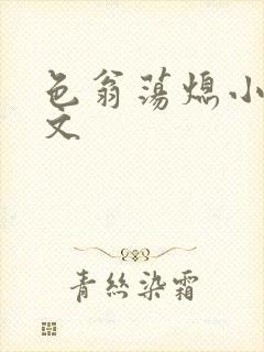 色翁荡熄小说全文