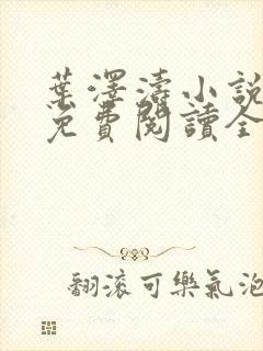 叶泽涛小说全文免费阅读全文