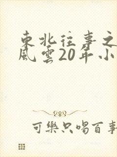 东北往事之黑道风云20年小说