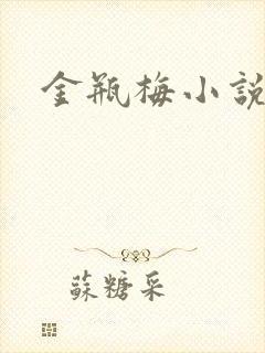 金瓶梅小说下载