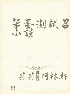 笨蛋测试召唤兽小说