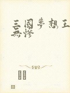 三国梦想王元姬无惨封面