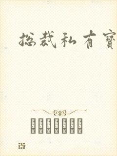 总裁私有宝贝封面