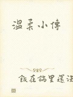 温柔小传