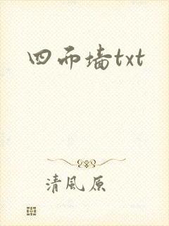 四面墙txt
