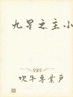 九星之主小说