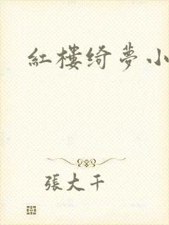 红楼绮梦小说封面