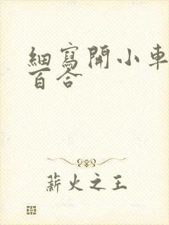 细写开小车车的百合