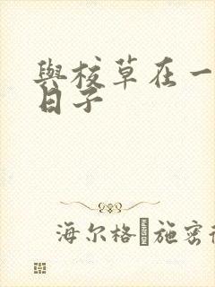 与校草在一起的日子封面