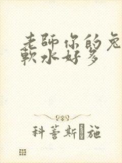 老师你的兔子好软水好多
