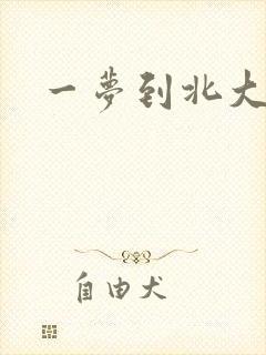 一梦到北大