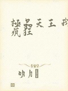 极品天王 我本疯狂