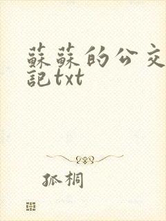 苏苏的公交车日记txt