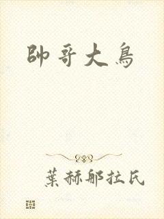 帅哥大鸟