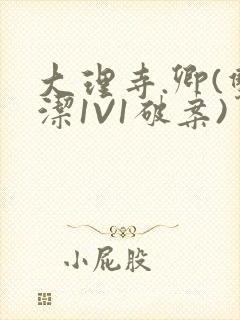 大理寺.卿(双洁1V1破案)