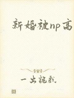新婚被np高h