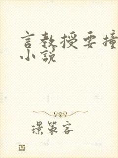 言教授要撞坏了小说