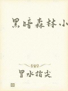 黑暗森林小说