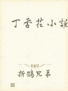 丁香花小说