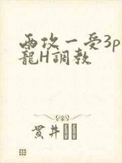 两攻一受3p双龙H调教