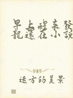 早上醒来发现巨龙还在小说