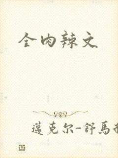 全肉辣文