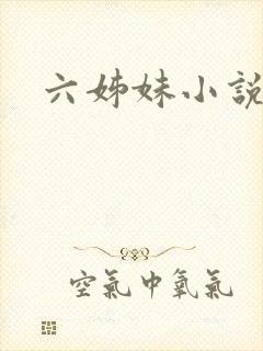六姊妹小说