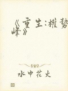 《重生:权势巅峰》