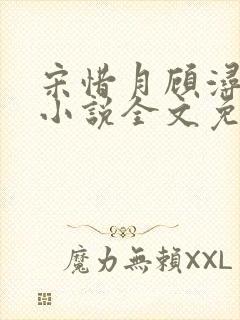 宋惜月顾浔渊的小说全文免费阅读