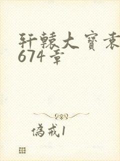 轩辕大宝袁雪妃674章