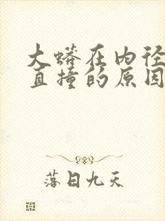 大蟒在内径横冲直撞的原因