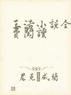 王浩小说全文免费阅读