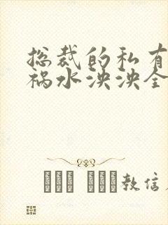 总裁的私有宝贝祸水泱泱全文阅读