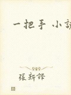 一把手 小说