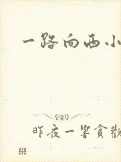 一路向西小说